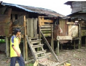 mulu shack