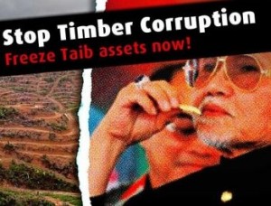 taib timber2