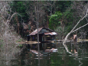 bakuns shack 3