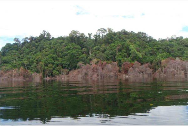 bakun devastation