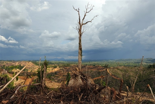 MALAYSIA-ENVIRONMENT-RIGHTS-PENAN