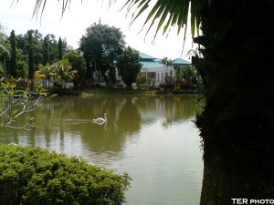 TAIB GARDEN
