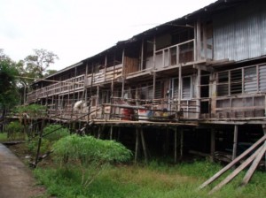 longhouse 8