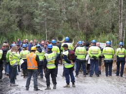 tasmania forest protest2