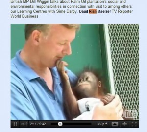 bill and baby orang utan