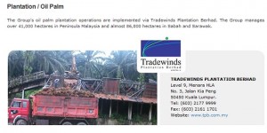 tradewinds 2