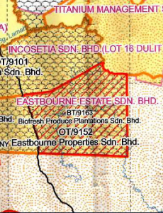 Eastbourne timber and Belian plantations