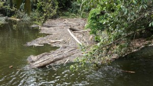 uncleared debris bakun