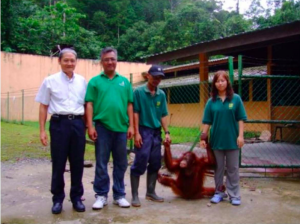 orang utan
