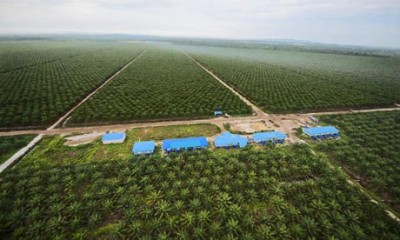 Industry run for the benefit of locals or big business?