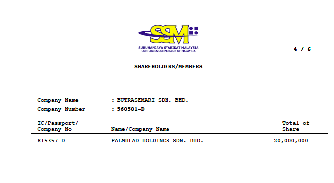Who owns Palmhead Holdings?