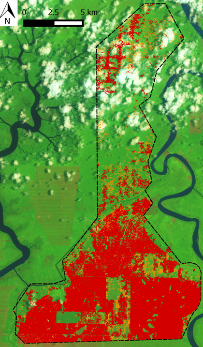 Map of the deforestation (in red) and forest degradation (in orange) activities in BLD’s concession near Sibu between 2001 and September 2015.