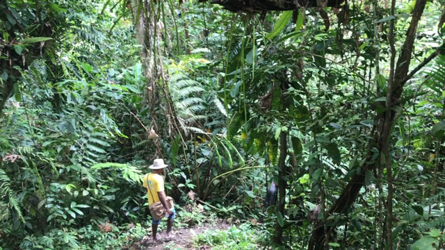 Locals say they have received nothing from logging by RH-owned One Pacific