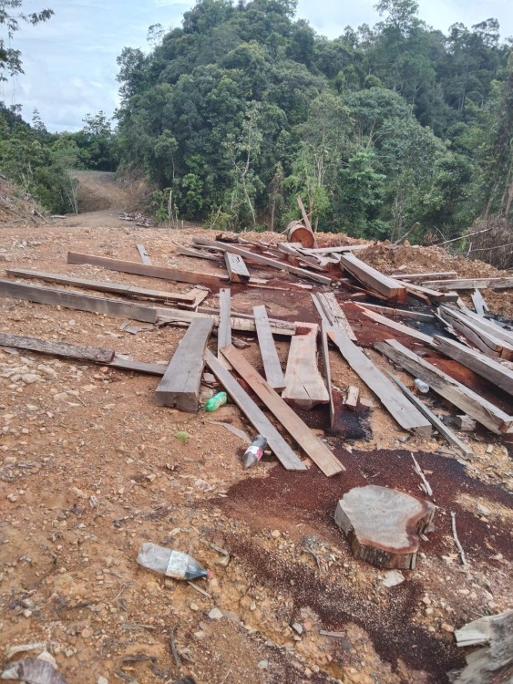 Sawn on the spot with heavy machinery and then transported